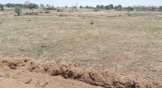 SASTA PLOT FOR SALE IN TARUP