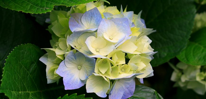 LAND SALE NEAR SUPER EXPRESSWAY , ORMANJHI,RANCHI